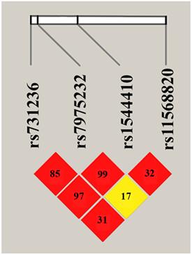 Association of Vitamin D Receptor Gene Variation With Osteoporosis Risk in Belarusian and Lithuanian Postmenopausal Women